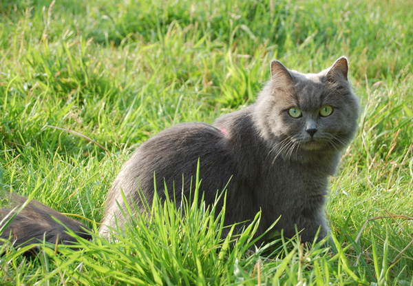 hier kann man`s aushalten.jpg